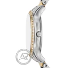 Γυναικείο Ρολόι Michael Kors, MK4910 Sage